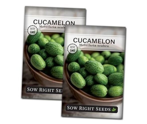 – Cucamelon Seeds for Planting – Non-GMO Heirloom Packet with Instructions 2