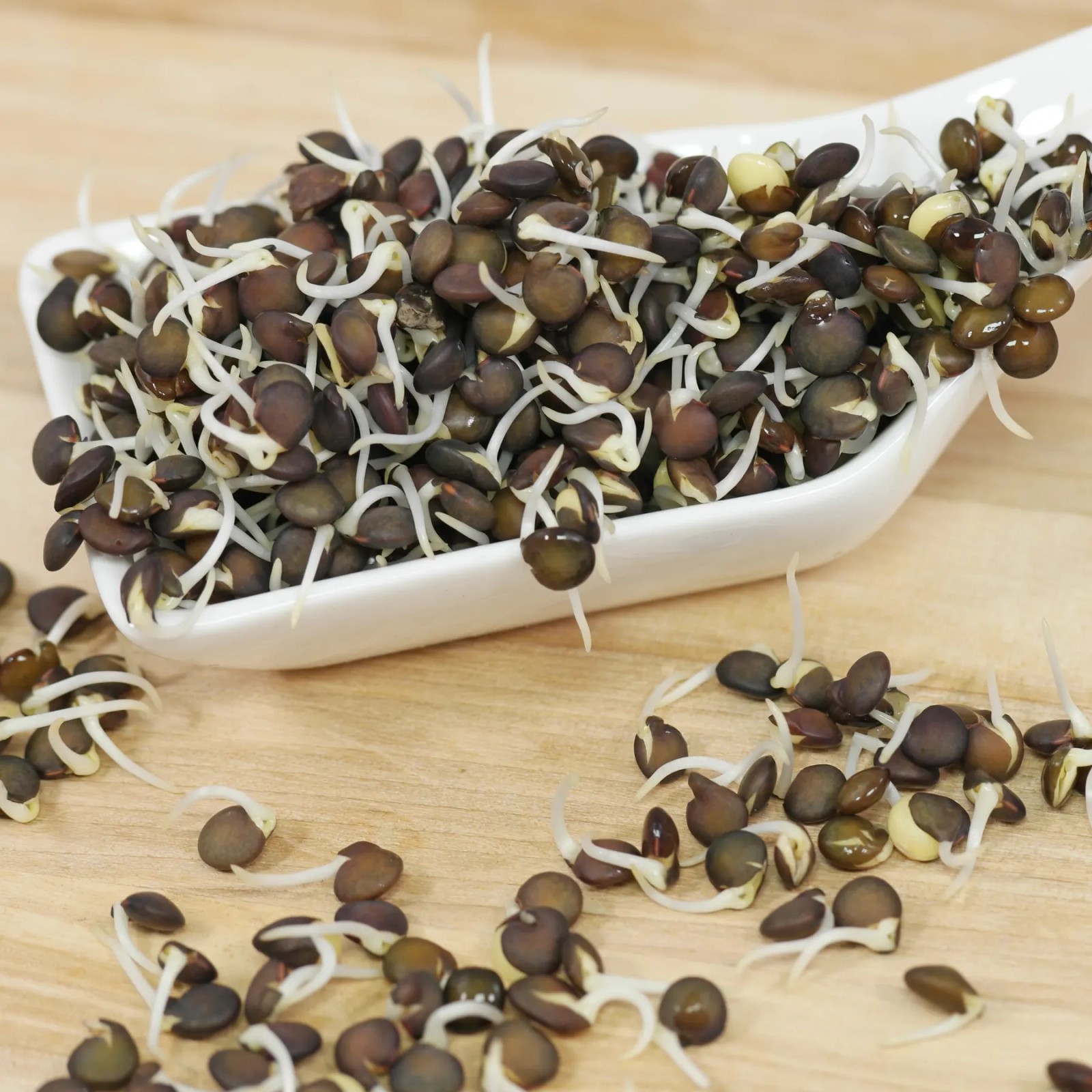 Black Beluga Lentil Seeds (50) / Bush / DELICIOUS / Rare