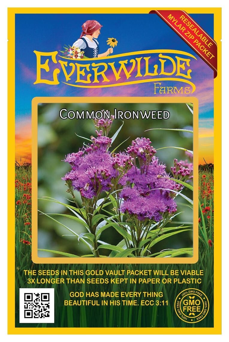 500 Common Ironweed Wildflower Seeds – Everwilde Farms Mylar Seed Packet