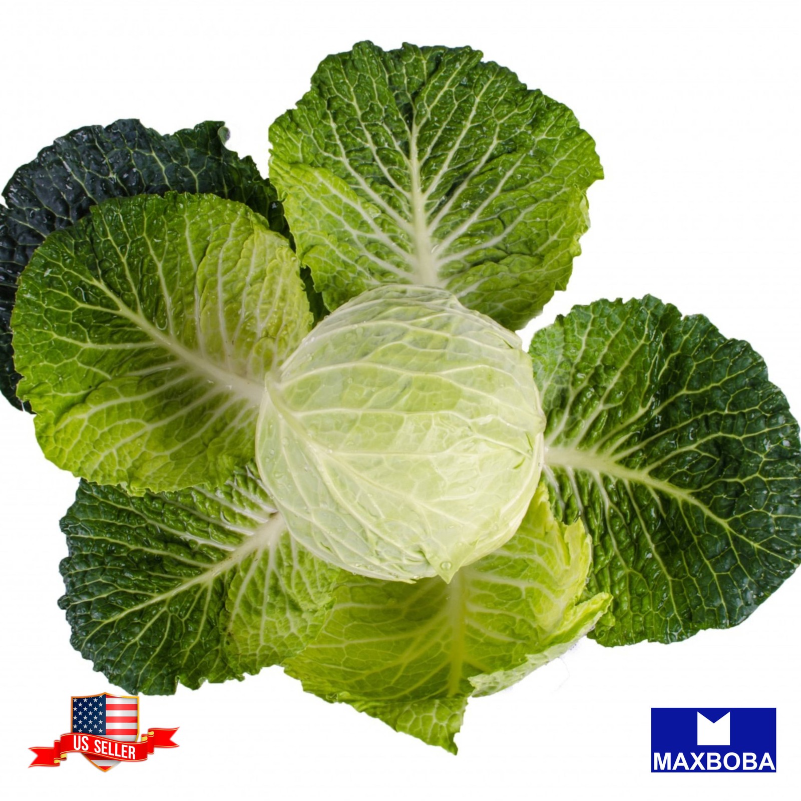 250 All Seasons Organic Cabbage Seeds Non-GMO Heirloom BTGO 75% OFF