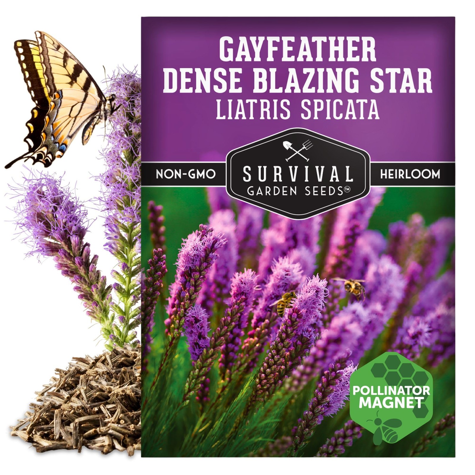 – Dense Blazing Star (Liatris spicata) | Gayfeather | Prairie Feather | North…