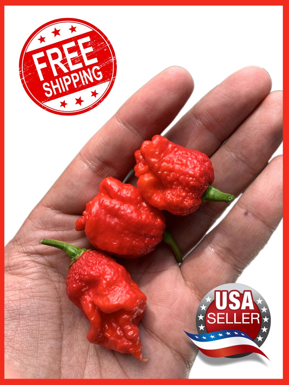 15+ Carolina Reaper Organic Premium Seeds- Non GMO