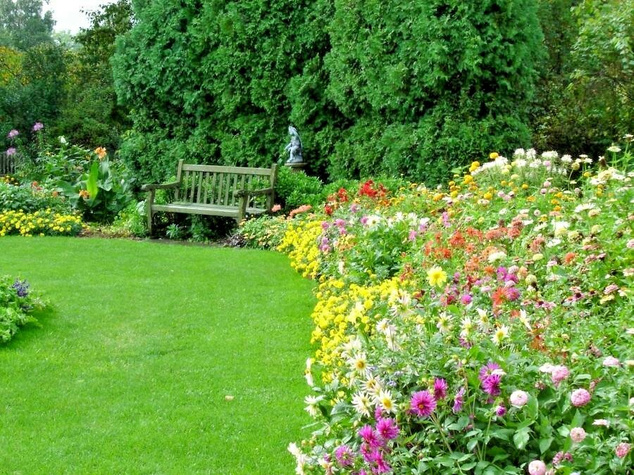 2001+Tall NATIVE WILDFLOWER MIX Seeds 19 Flowering Annuals Cut Flowers Fast Easy