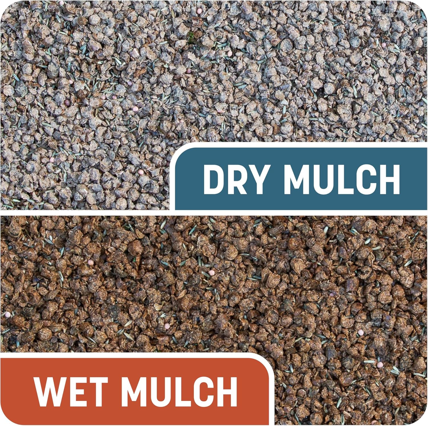 Smart Patch Bermudagrass 5Lb 100 Sq. Ft. Grass Seed Bare Spot Repair with Mulch
