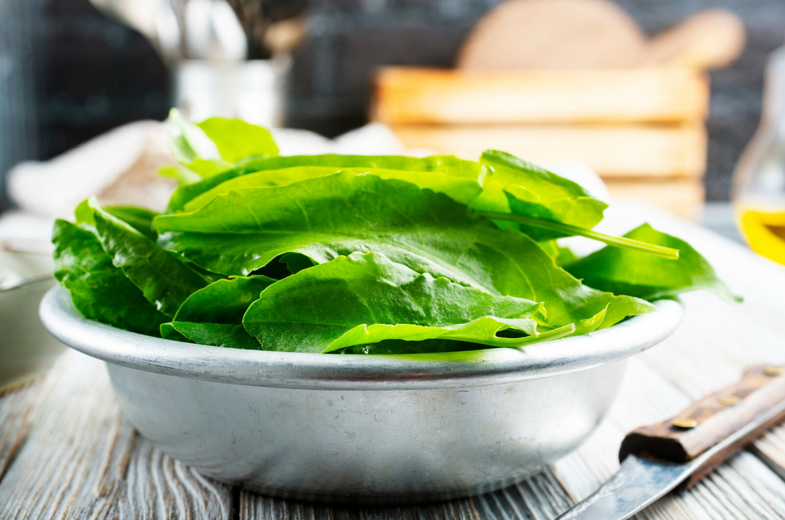 BROAD LEAF SORREL 500+Seeds | Non-GMO Heirloom Herb (Sprouting or Garden) Larg