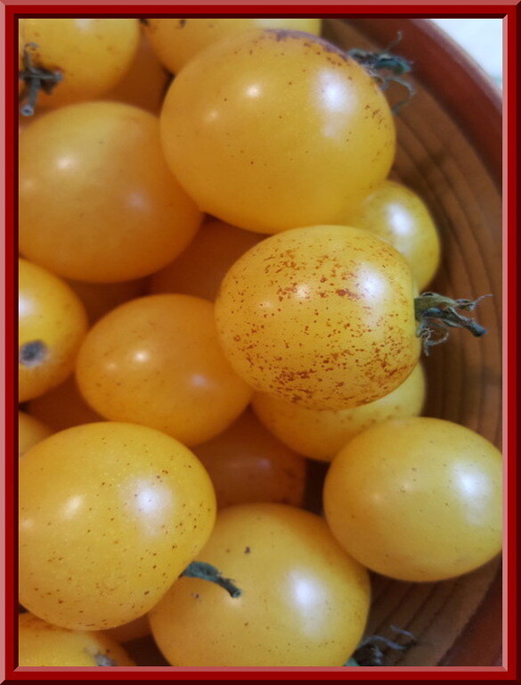Red Speckled Yellow Cherry Tomato Seeds -Comb. S/H See our store