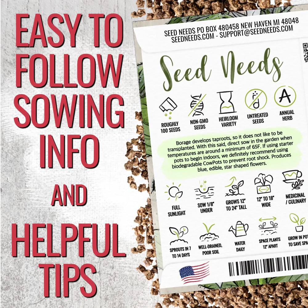 Ruby Queen Beet Seeds For Planting (Beta vulgaris)