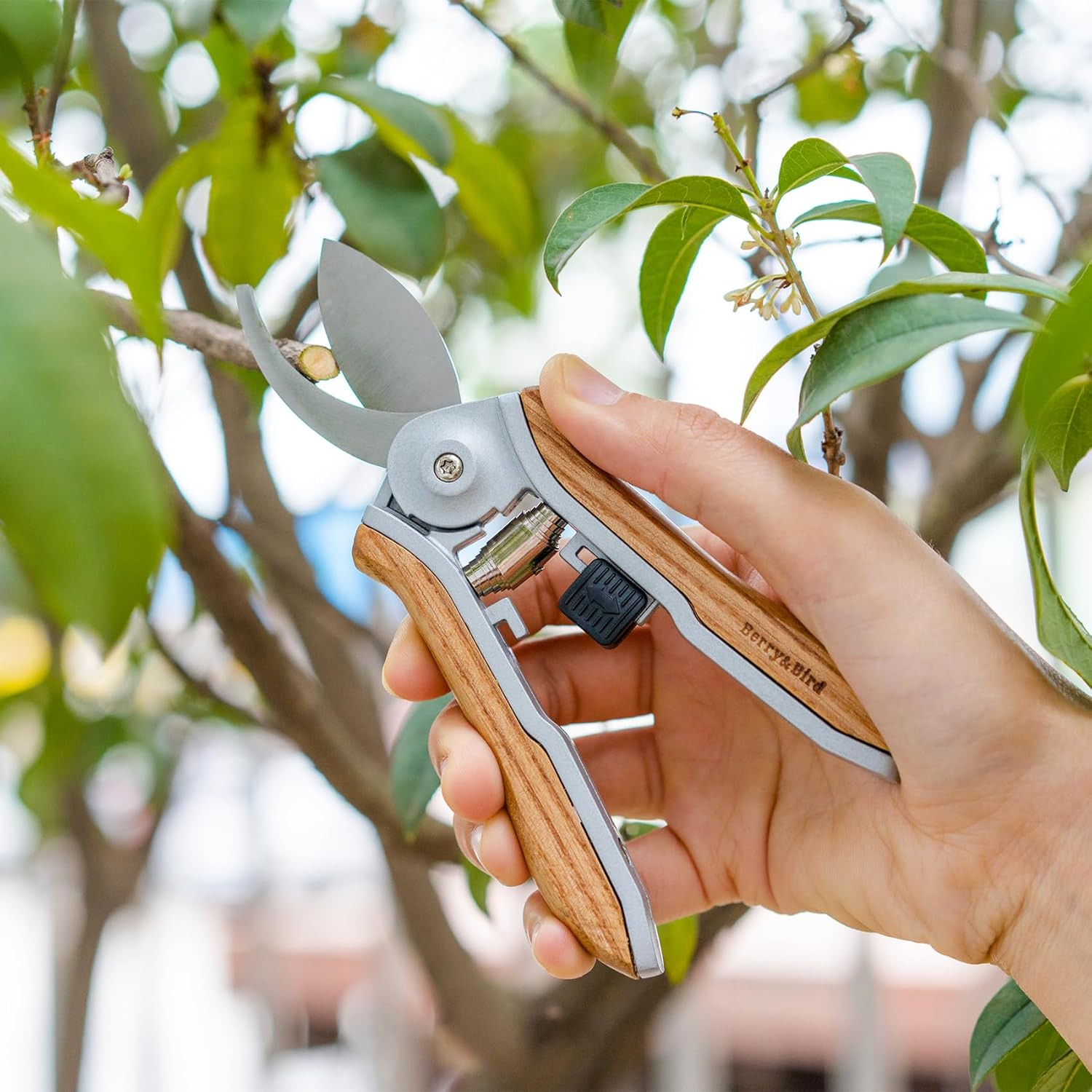 Berry& Mini Pruning Shears for Gardening Curved Blades Hand Pruners with Wooden