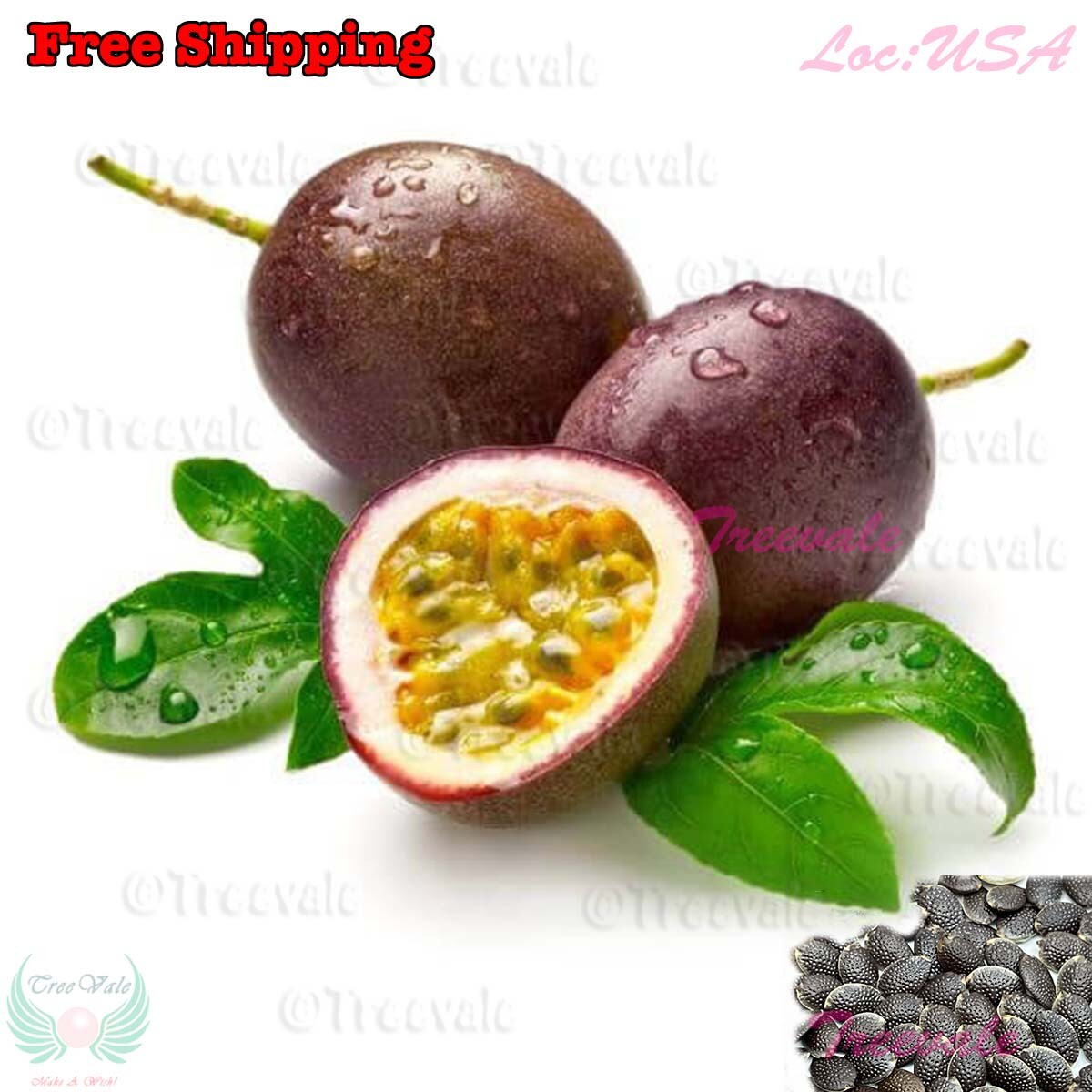 Purple Passion Fruit, Passiflora Edulis, Vine Passion Flower Seeds | NON-GMO
