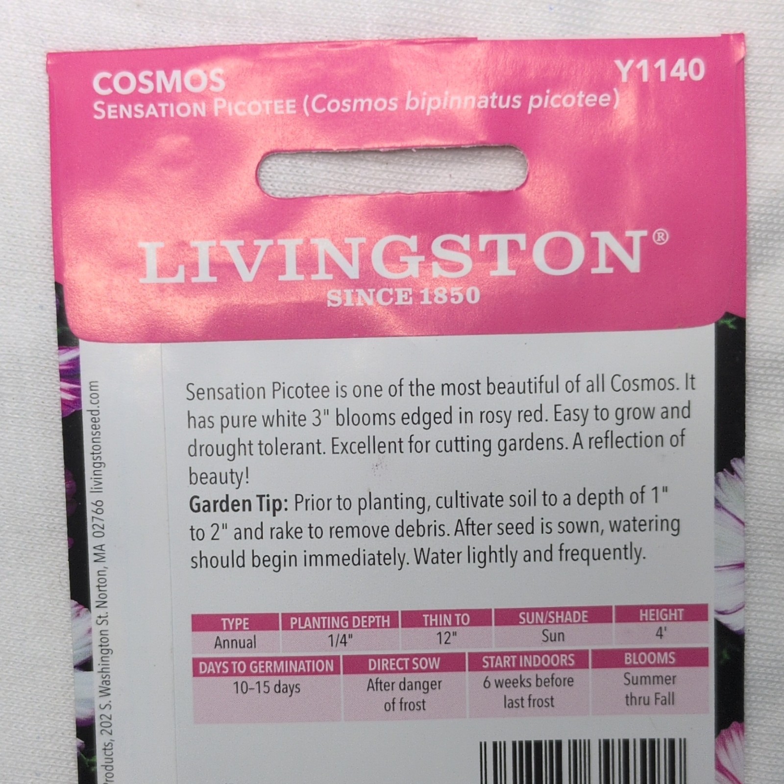 Livingston Cosmos Sensation Picotee Annual White Pink Purple Full Sun Y1140