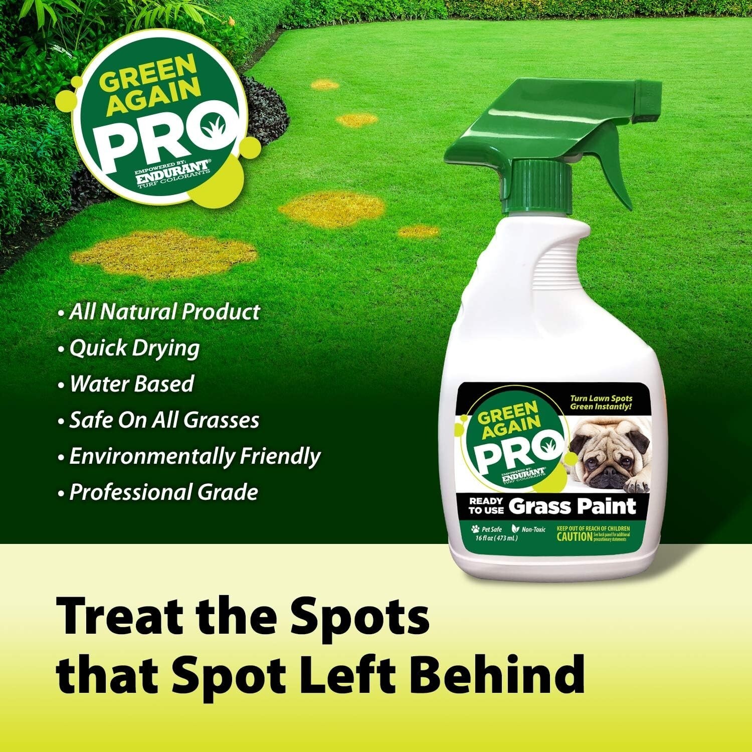 Pre-Mixed Grass and Turf Paint – All Natural Pet-Friendly Lawn Colorant Turns