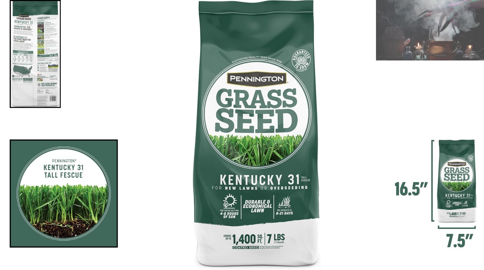 Quick-Germinating Kentucky 31 Tall Fescue Grass Seed – 1400 sq ft Coverage