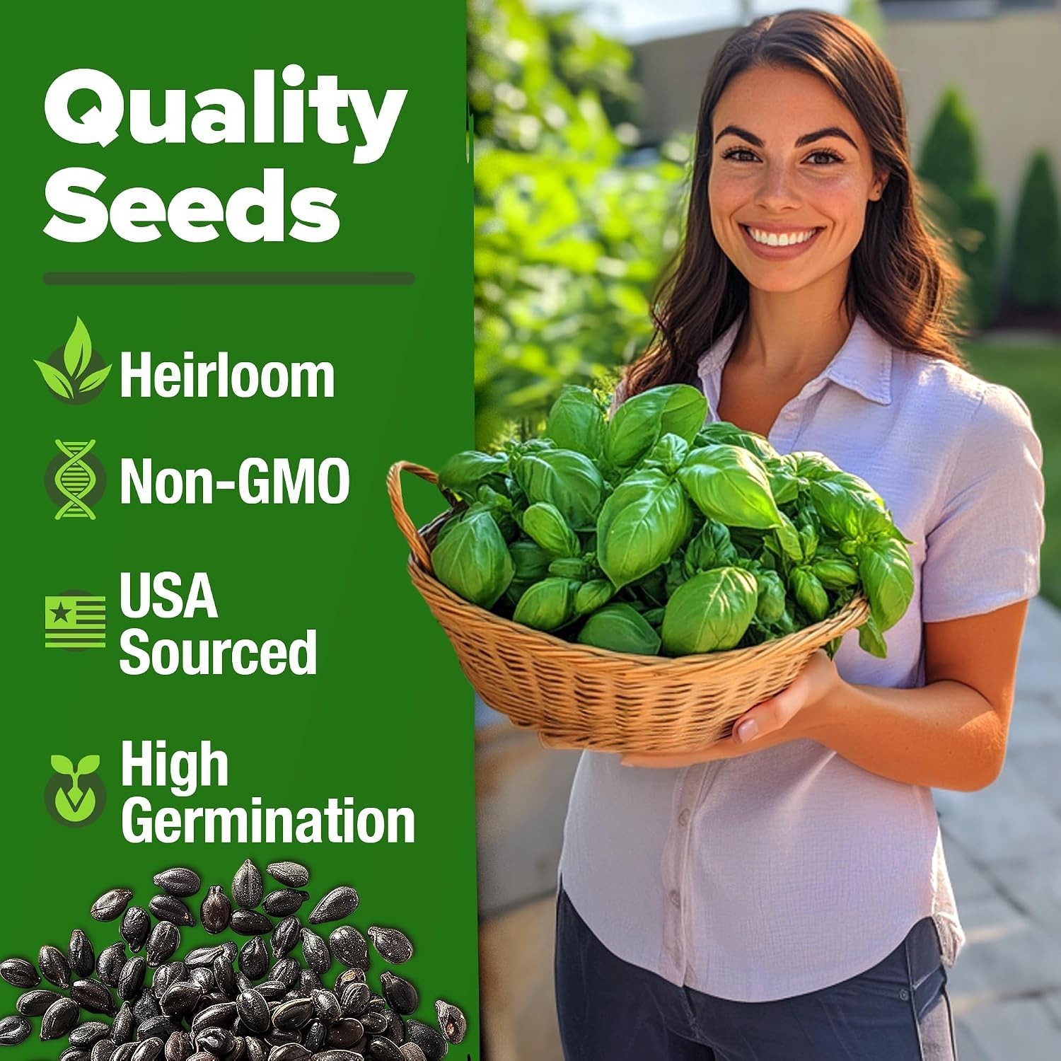 HOME GROWN Genovese Basil Seeds 2 Pack – 3500 Non GMO Heirloom Basil Seeds for P