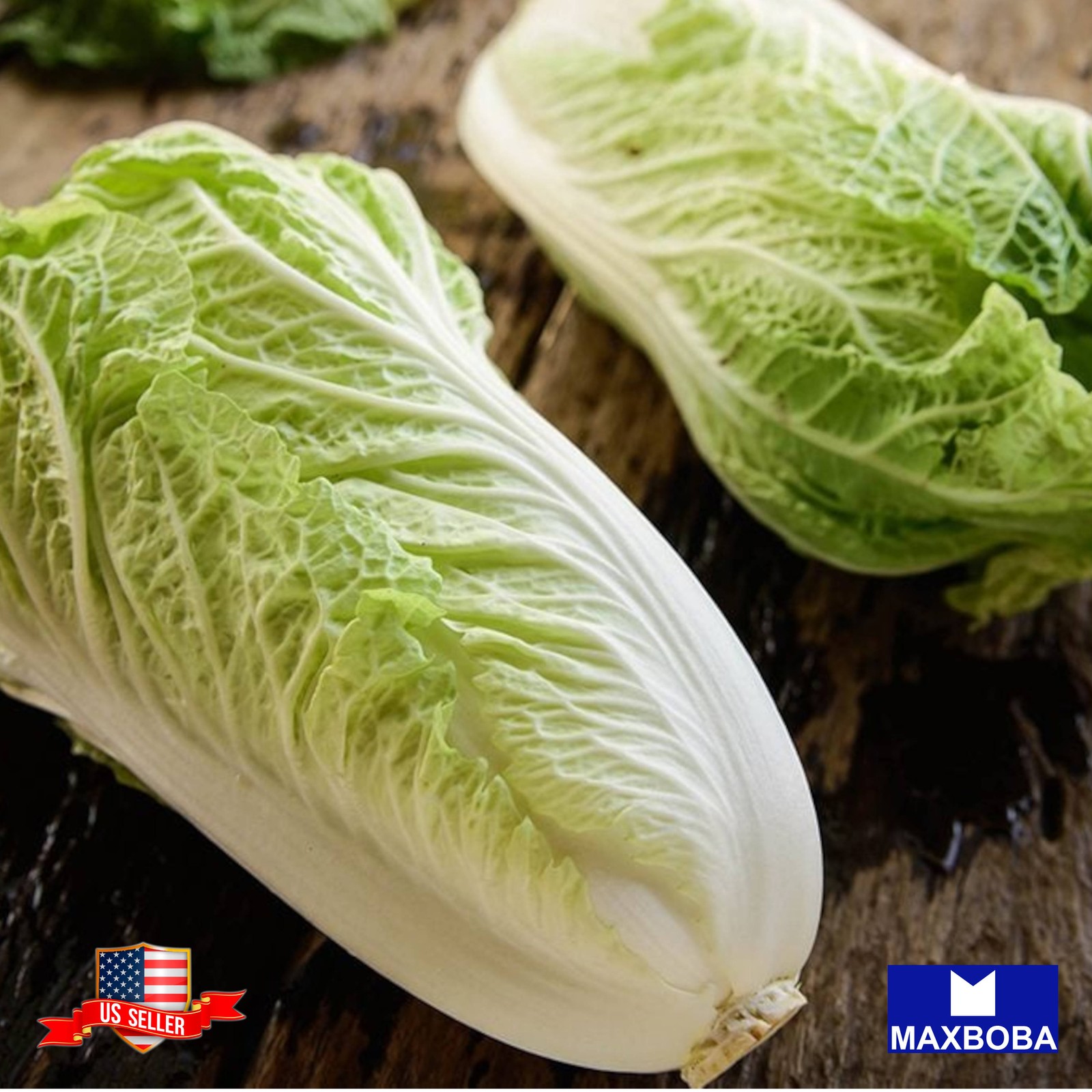 300 Kyoto No. 3 Chinese Cabbage Seeds Non-GMO Heirloom BTGO 75% OFF