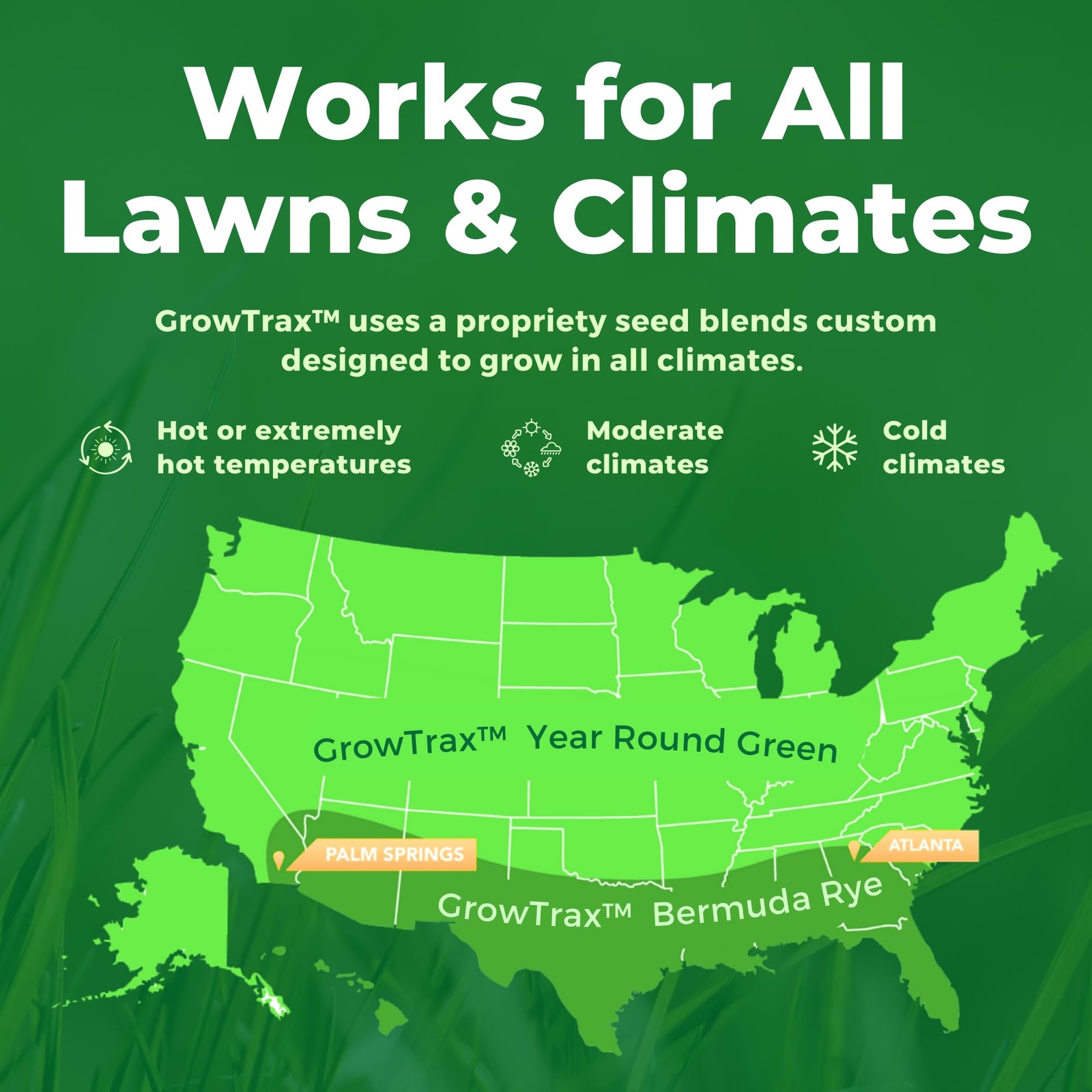 Biodegradable Bermuda Rye Grass Seed & Fertilizer for Lawns & Dog Patches