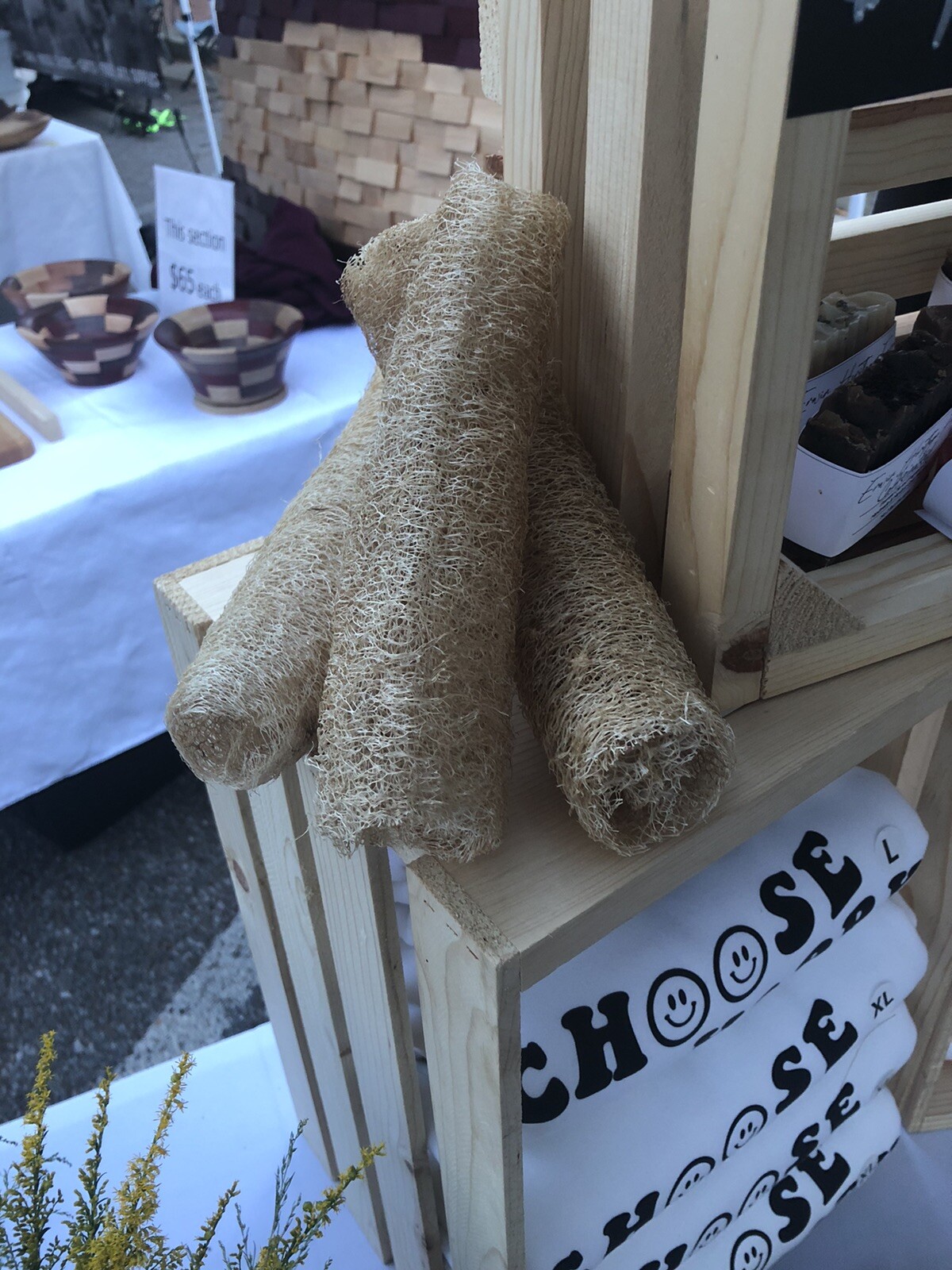 Loofah Sponge Seeds