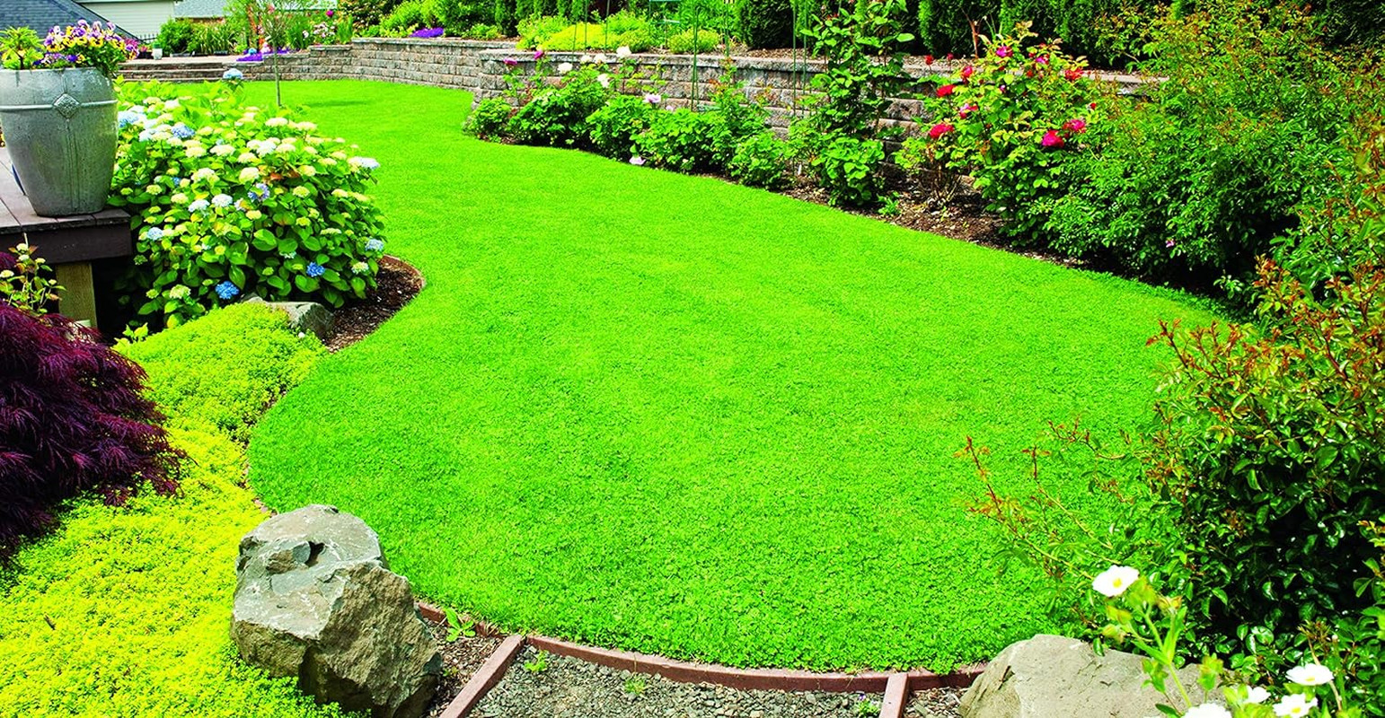 X-Seed 440AS0135UCT-5 MicroLawn Grass & Micro-Clover Mixture 5 lbs White