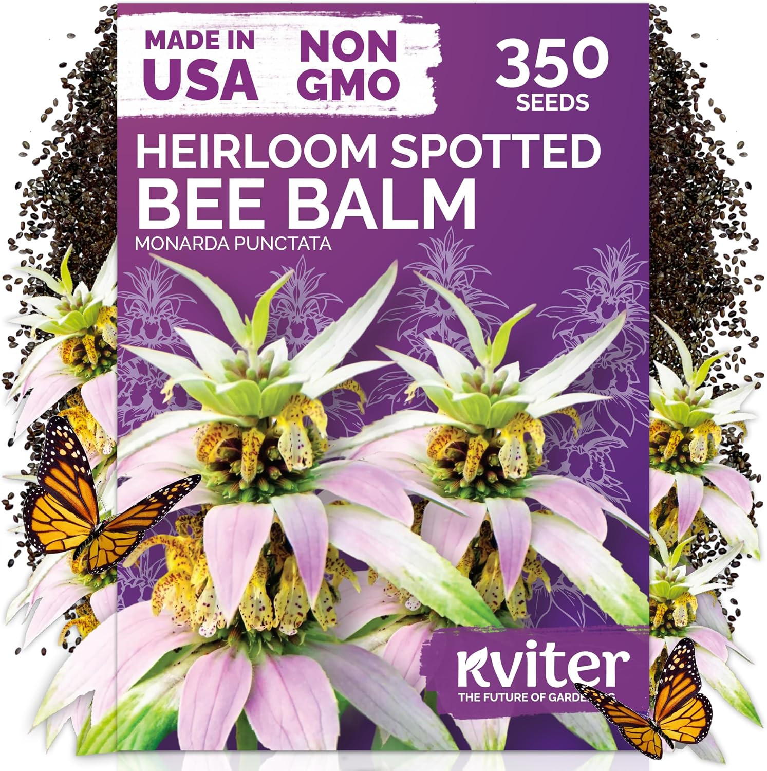 20,000 Creeping Thyme Seeds (Thymus Serpyllum) – Wild Thyme, Aromatic Ground Cov