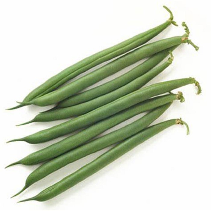35 Jade Green Snap Bush Bean Seeds
