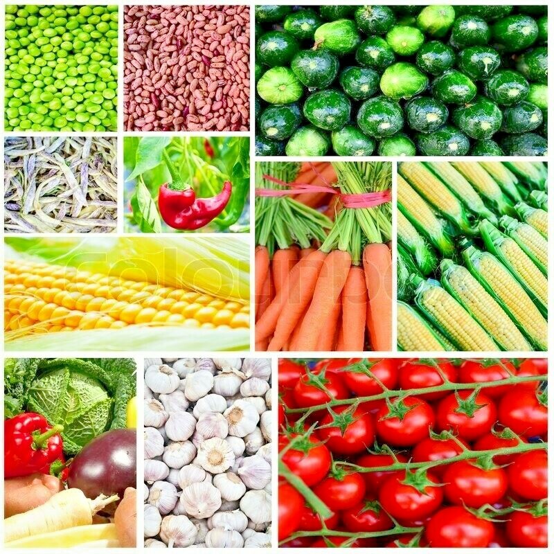 150+ Heirloom Vegetable Seed 6 Variety Garden Set #5 Emergency Survival NON-GMO