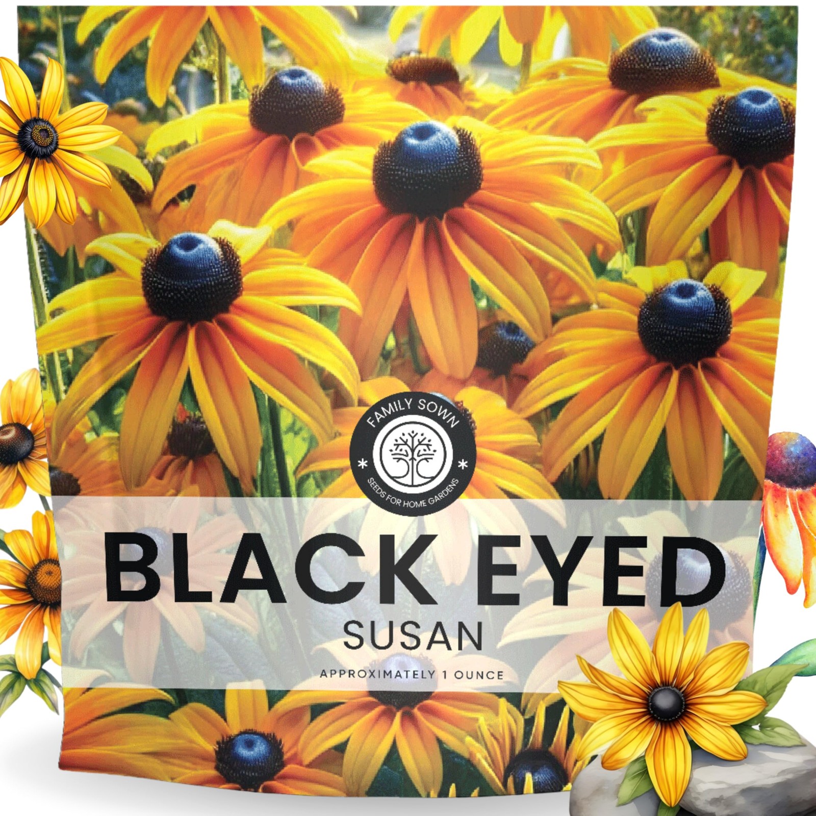 Black Eyed Susan Large 1 Ounce Packet 100,000 Flower Seeds for Planting Ru…