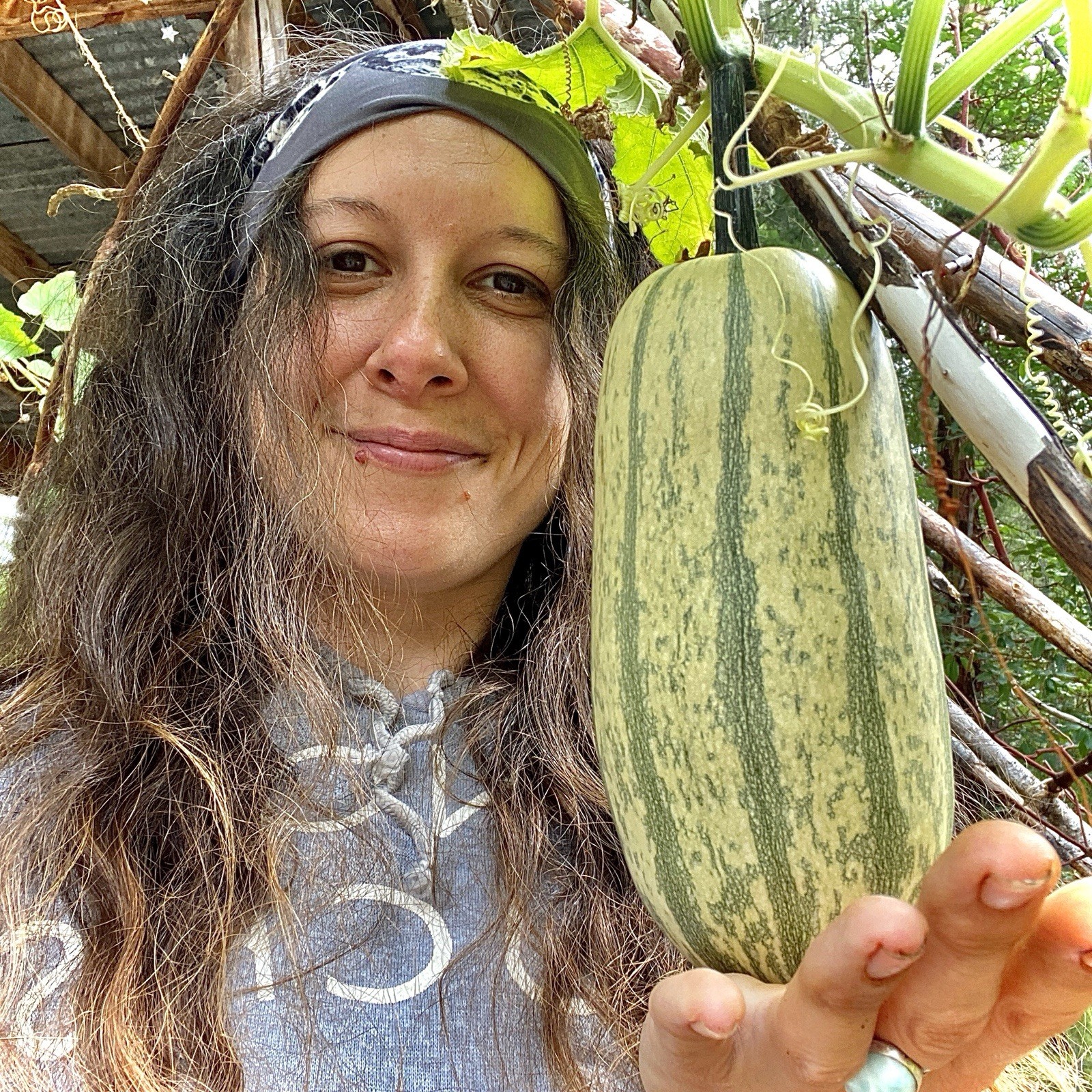 Squash Seed Collection Easy Buttercup Sweet Meat Butternut Zucchini Delicata 175