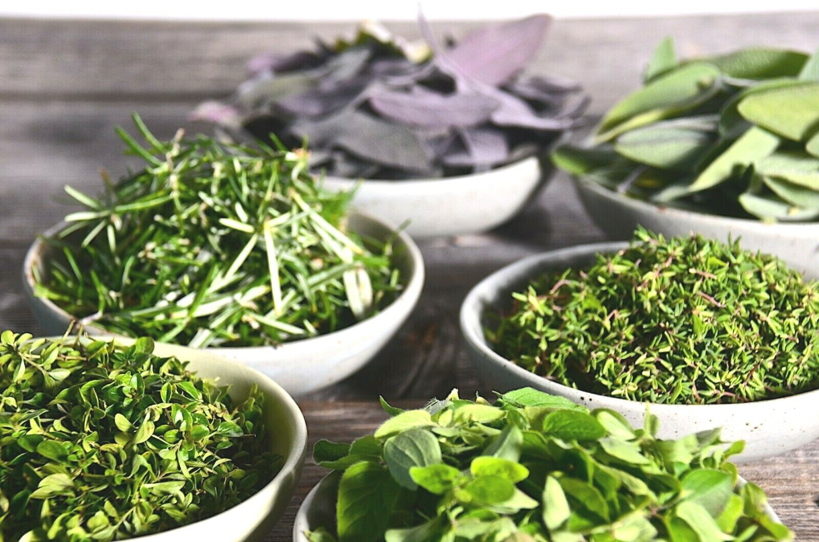ESSENTIAL KITCHEN SURVIVAL! 5 CULINARY herb varieties great taste NON-GMO SEEDS