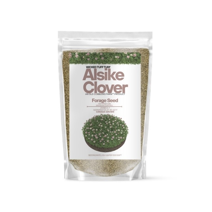 Old Cobblers Farm™ Wicked Tuff Turf Alsike Clover Seed – Pasture, Grazing, Lawn
