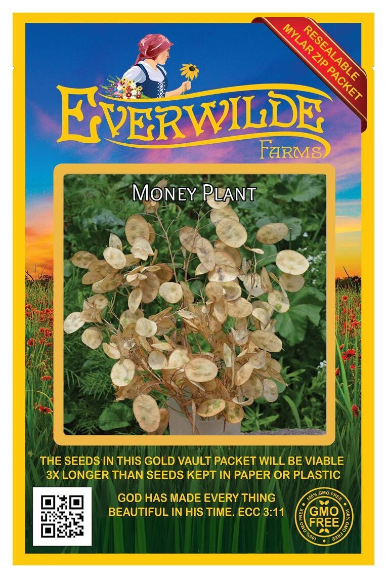 50 Money Plant Wildflower Seeds – Everwilde Farms Mylar Seed Packet