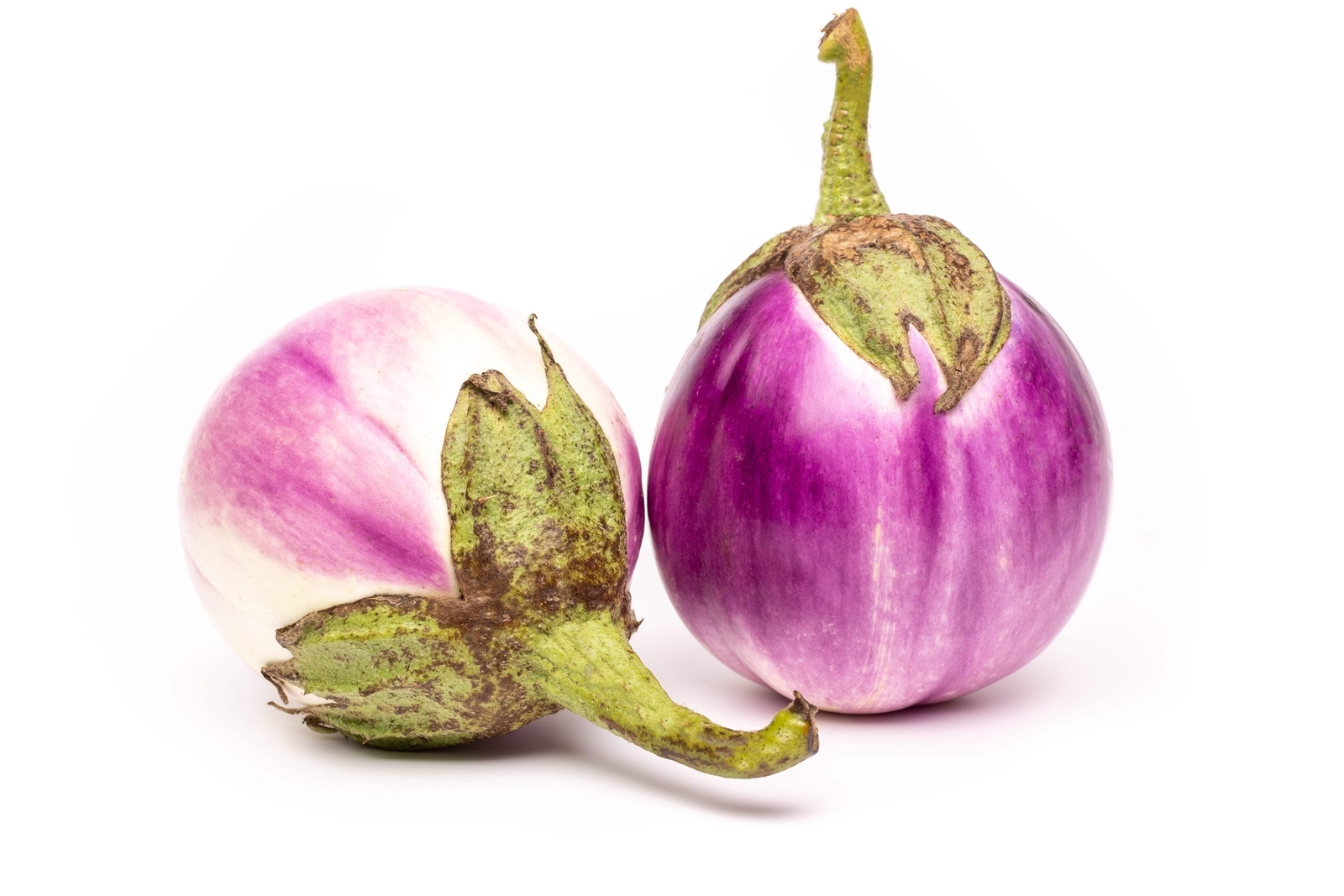 50 Organic Italian EGGPLANT ROSA BIANCA Solanum Melongena Vegetable Seeds