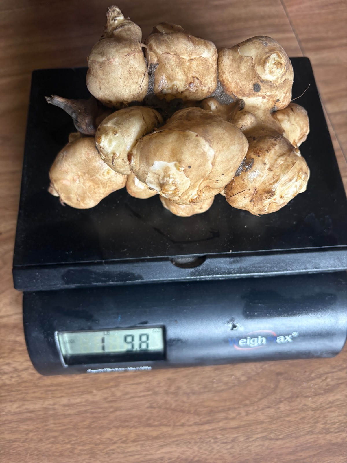 1lb Jerusalem Artichoke (Sunchoke) Tubers For Planting. Grown by Garden2table
