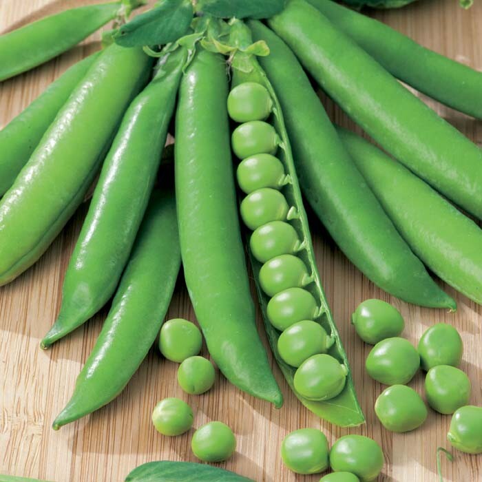 Green Arrow English Pea Seeds | Sweet Shelling Peas Garden Vegetable Seed 2024