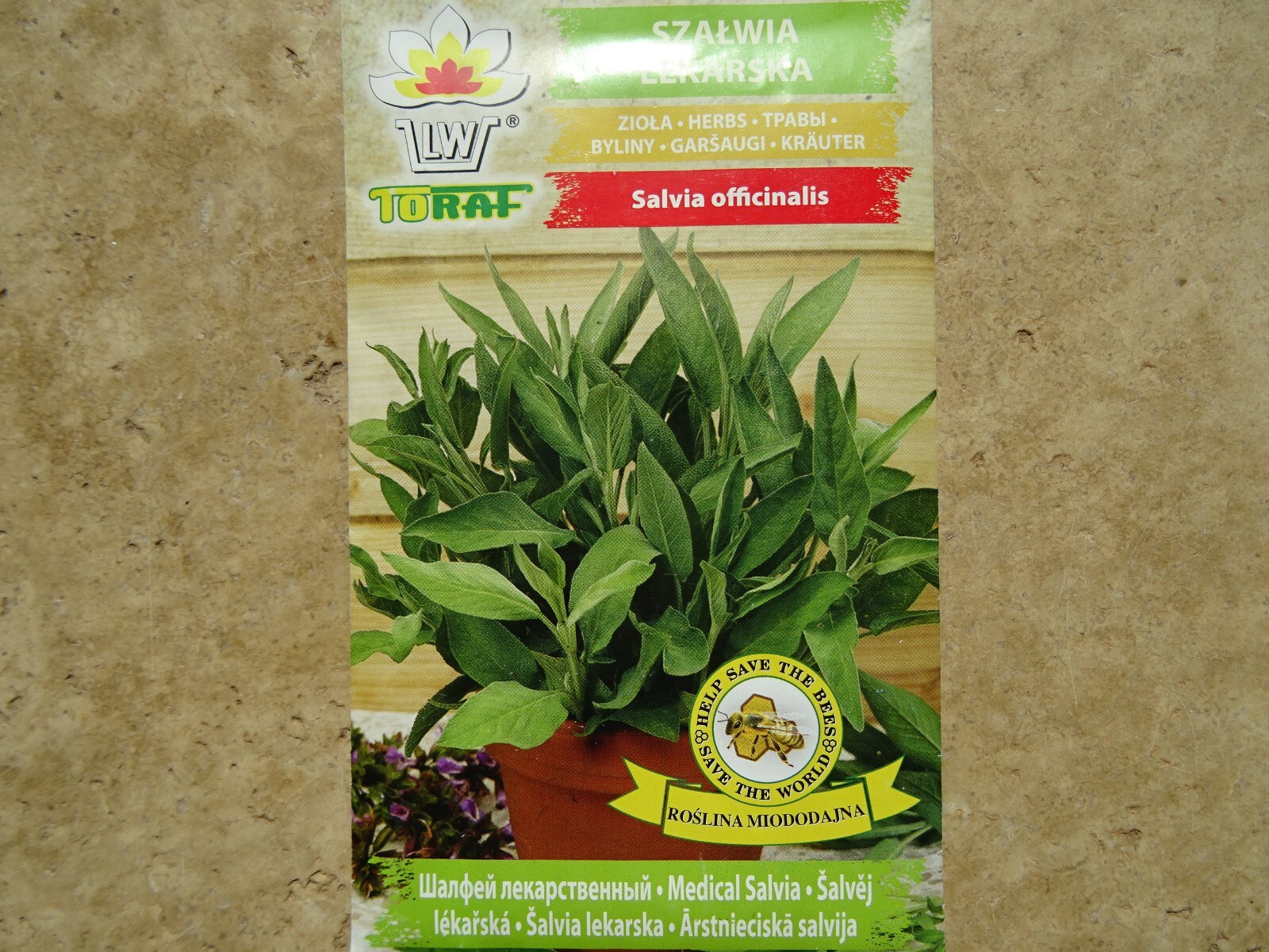 SAGE Salvia officinalis 1g Seed packet Medicinal Herb FRESH