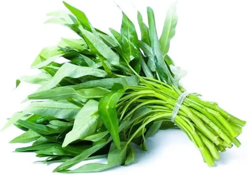Kolmi Shak Seeds ( 20 Grams ) Water Spinach seeds, Indian Water Spinach