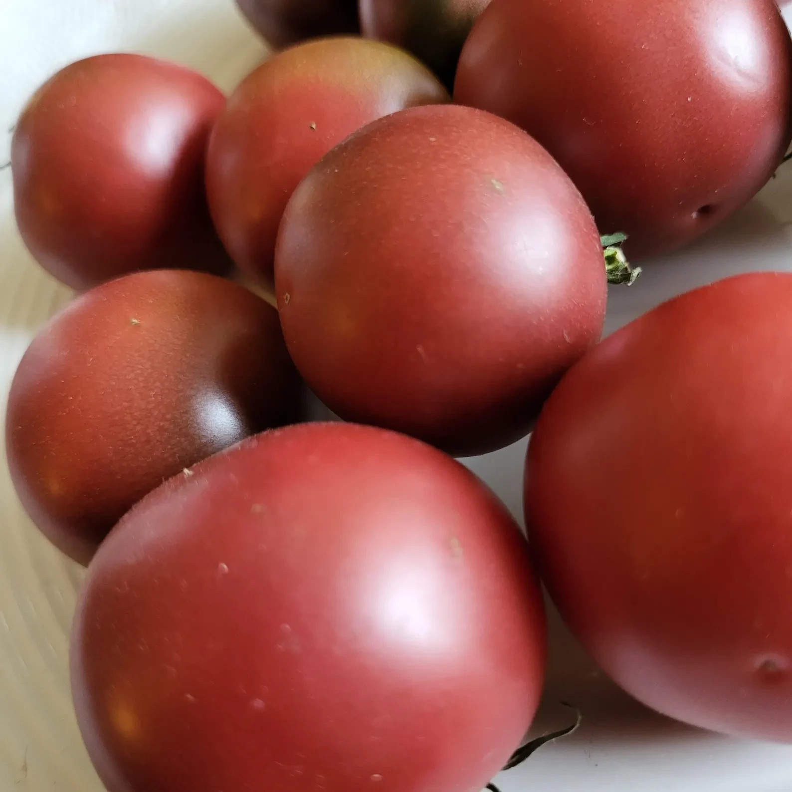 10 seeds Dwarf Velvet Night Tomato Purple cherry ORGANIC Rare Variety DTP