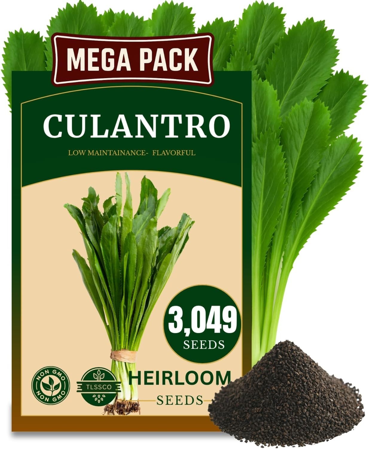 3049+ Culantro Seeds – Heirloom Herb Seeds for Planting, Slow-Bolting, Flavorful