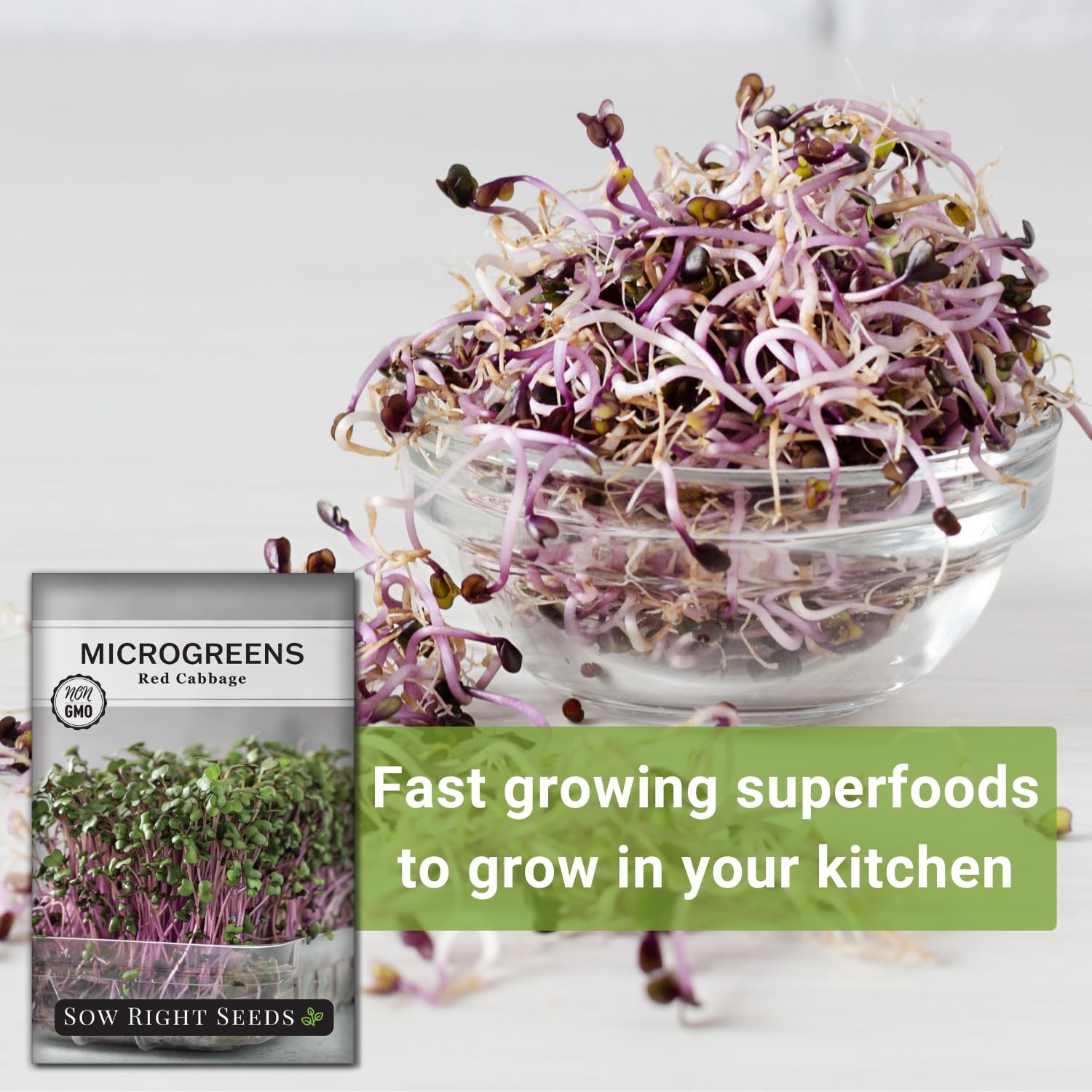 – Red Cabbage Microgreen Seed for Growing – Instructions to Grow Your Own Del…
