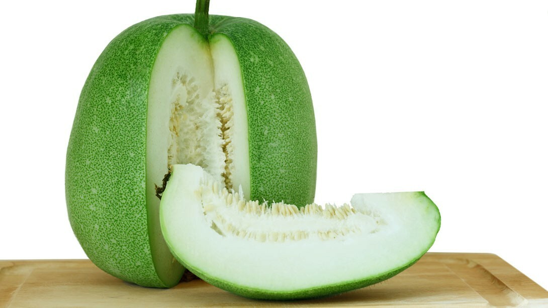 50 Wax Gourd (Winter Melon, Benincasa hispida) Non GMO Seeds, Made In USA