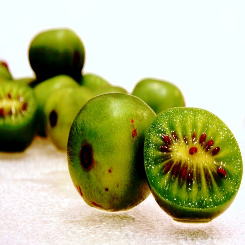 Issai Kiwi Seeds Arctic Grape Berry Superfruit Garden Plant Cold Hardy Fast Vine