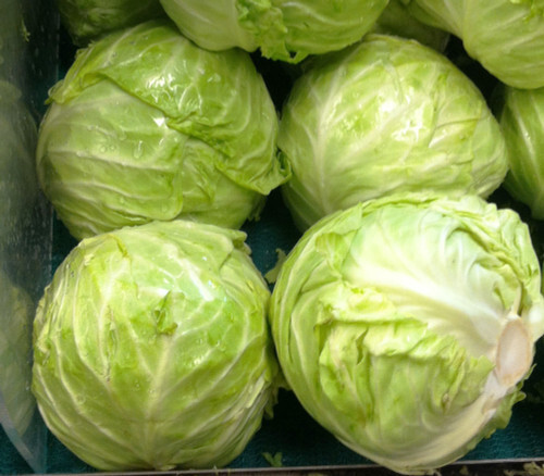 175 SEEDS – cabbage DANISH BALLHEAD 10 lb HEADS GroCo USA – BUY 15-SHIPS FREE