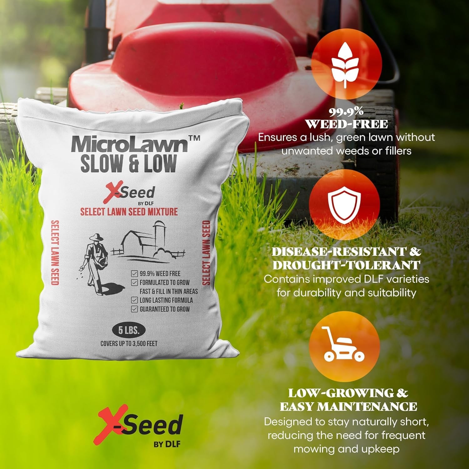 X-Seed Micro-Lawn Slow & Low Grass Seed for Cool Season Lawns, No Mow Natural