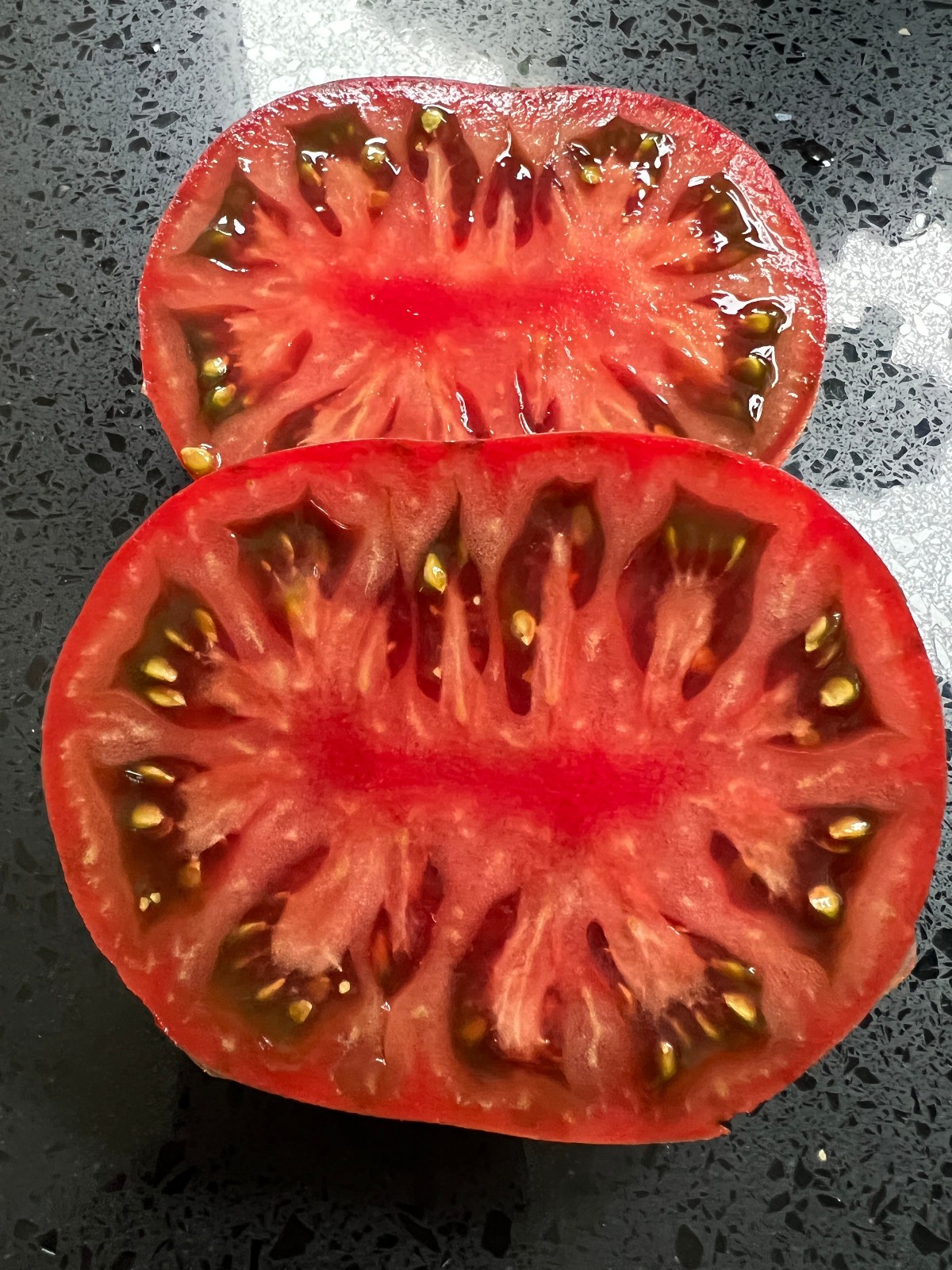 10 seeds Rebel Starfighter Prime Heart Tomato Rare ORGANIC Variety