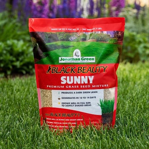 Jonathan Green (10895) Black Beauty Sunny Grass Seed – Cool Season Lawn Seed (1