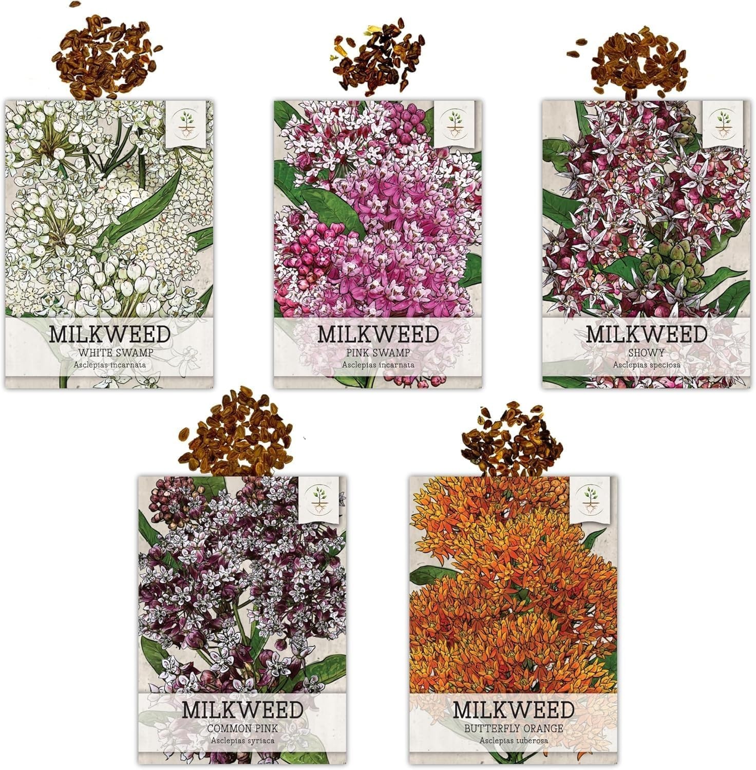 Milkweed Seeds for Planting a Butterfly Garden to Attract Monarch Butterflies…