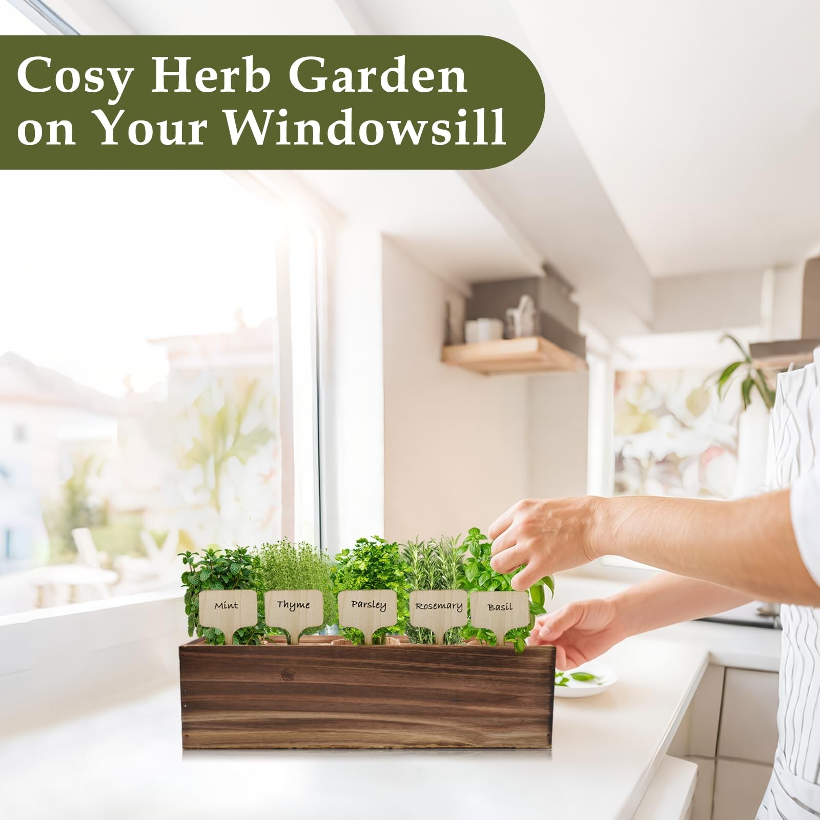 Indoor Herb Garden Planter Kit with Wooden Box – Seed Starter for Basil, Thyme