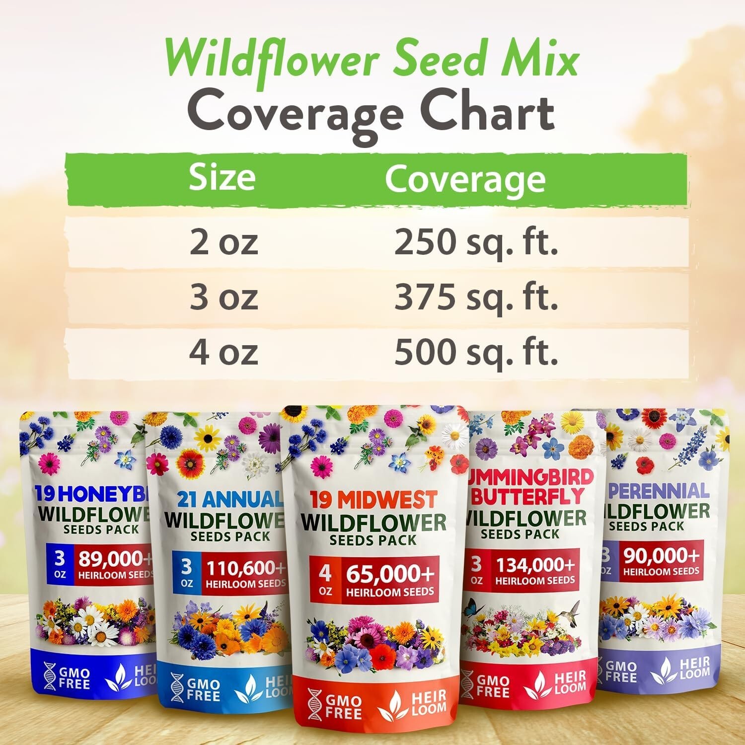 Non-GMO Midwest Wildflower Seeds – Easy Growth for Spring to Summer Gardens