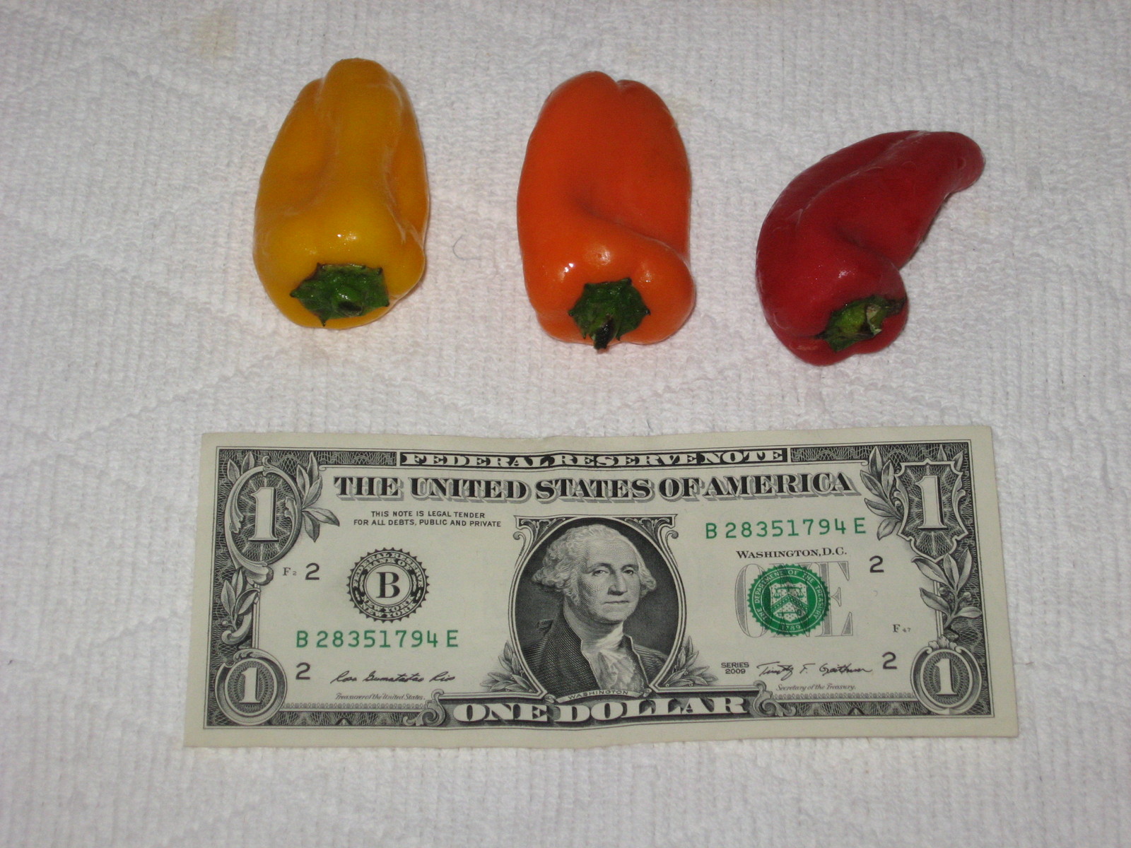 SWEETEST RED,YELLOW,ORANGE MINI BELL PEPPER SEEDS (20 SEEDS ) strawberry sweet