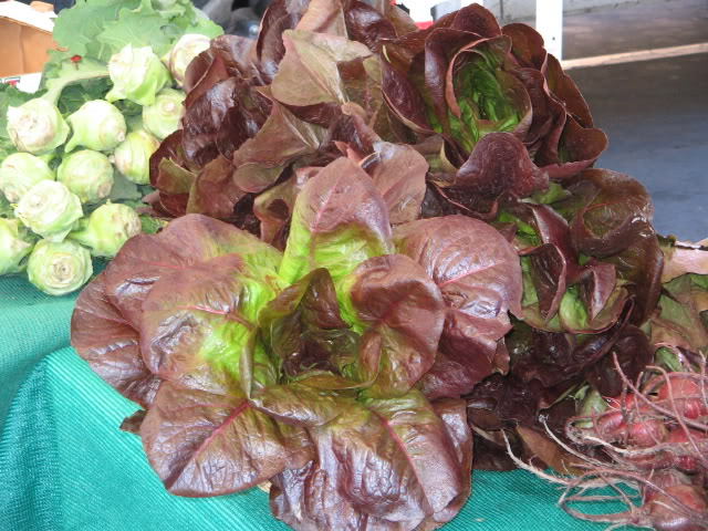 3000 RED ROMAINE LETTUCE Lactuca Sativa Vegetable Seeds *Flat S/H