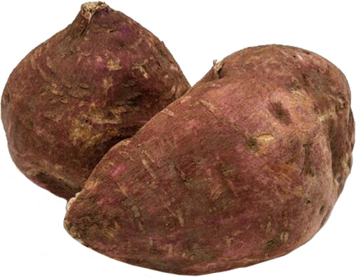 Fresh Boniato Camote,batata (Cuban or Tropical Sweet Potato) 5 lbs