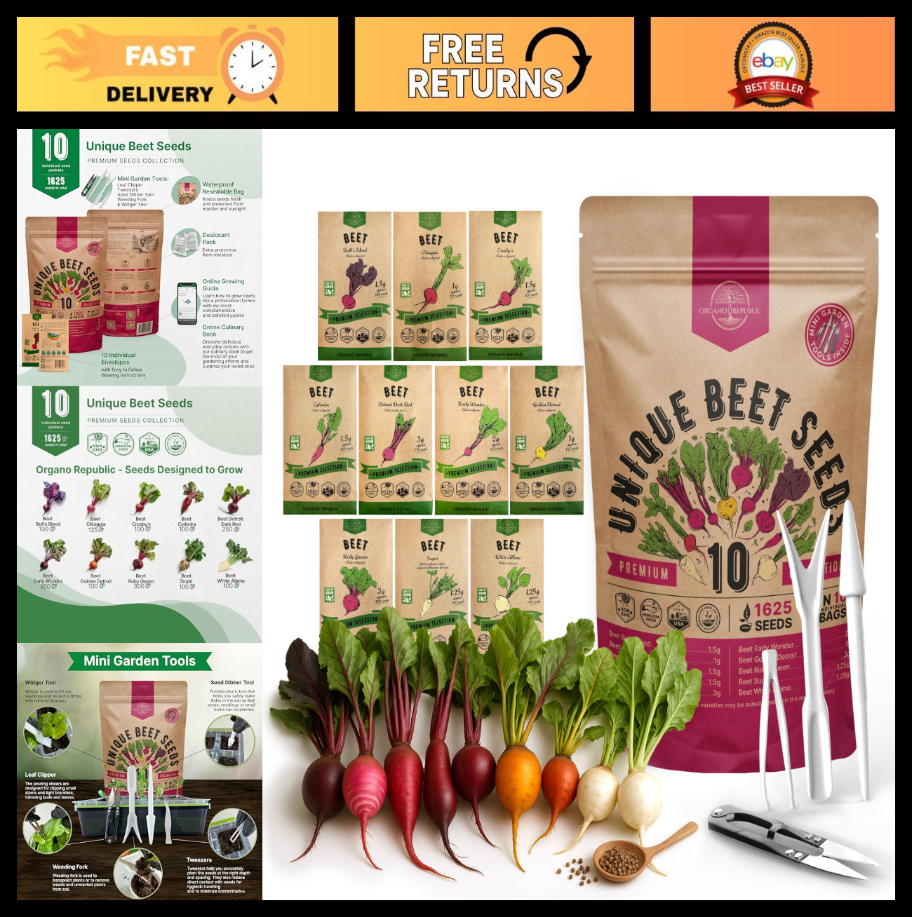 10 Rare Beet Seeds Variety Pack – Heirloom Non-GMO Bulk for Indoor/Outdoor Garde